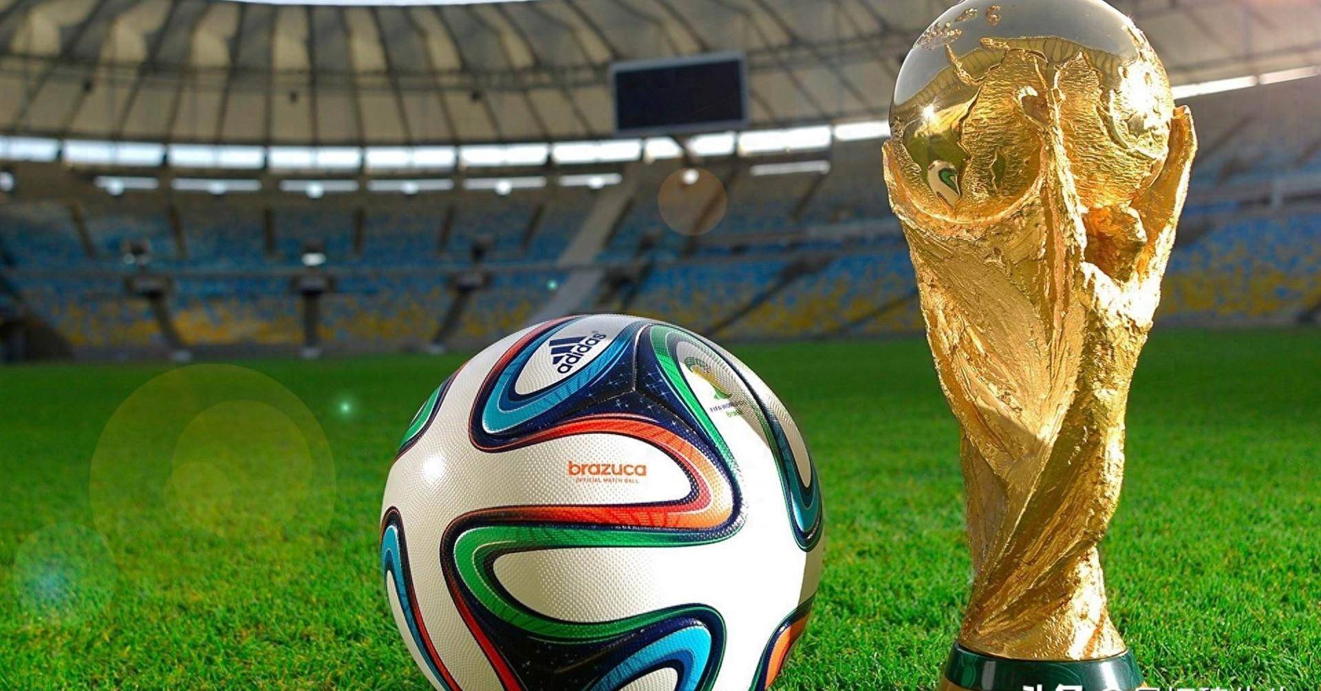 造辉煌的选 造辉煌的选